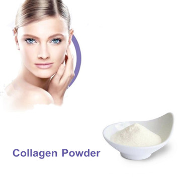 Top Quality Anti-aging food grade hydrolyzed collagen fish collagen powder